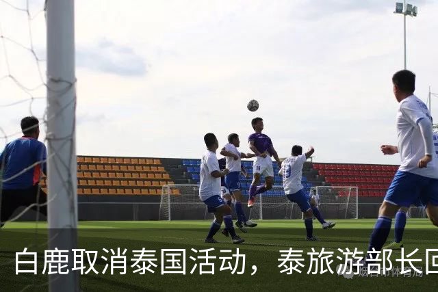 白鹿取消泰国活动，泰旅游部长回应惹争议